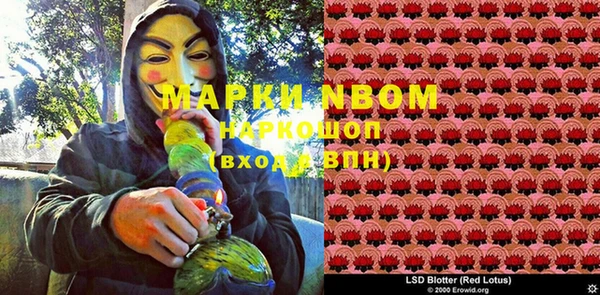 гидра Корсаков