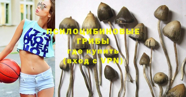 a pvp Костерёво