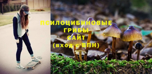 стафф Киренск