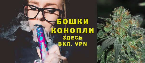 ГАЛЛЮЦИНОГЕННЫЕ ГРИБЫ Козельск
