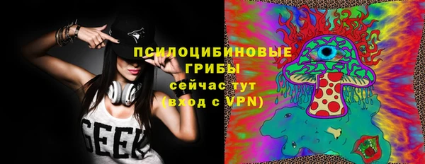 гашик Березники