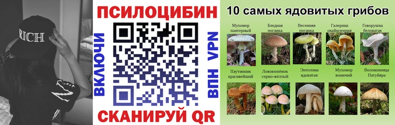 ссылка на мегу сайт  как найти закладки  Кулебаки  Галлюциногенные грибы GOLDEN TEACHER 
