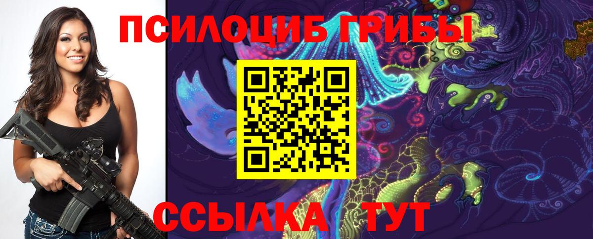 Псилоцибиновые грибы Psilocybe  Вход с VPN  Галлюциногенные грибы прущие грибы  Кулебаки 