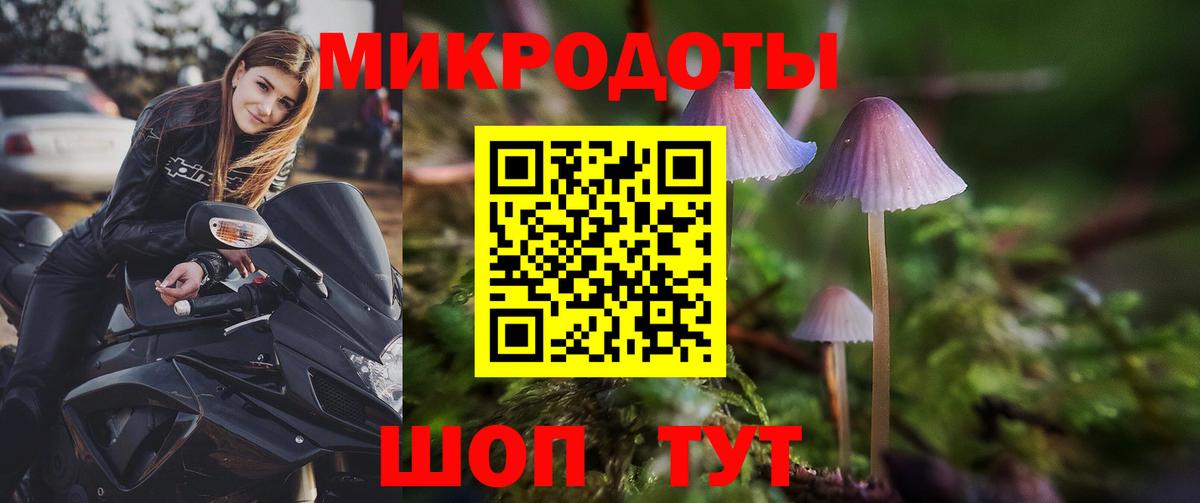 Псилоцибиновые грибы прущие грибы Кулебаки